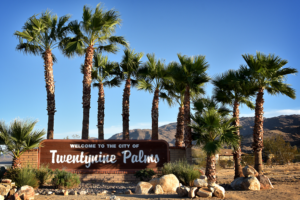 29 palms feat