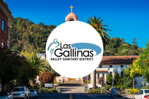 Las Gallinas Valley
