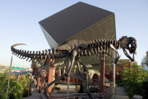 discovery science center