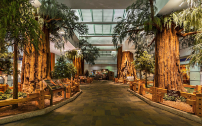City of Fresno – Fresno Yosemite Intl. Airport