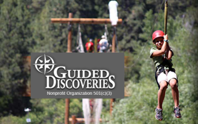 Guided Discoveries