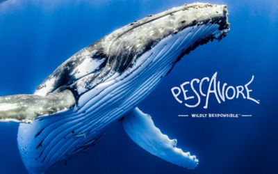 Pescavore