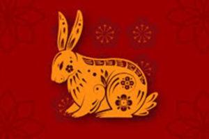 year of the rabbit